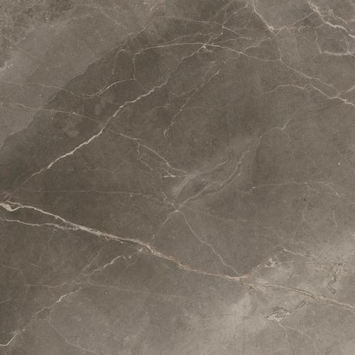 Allure Grey Beauty 80x80 Ret
