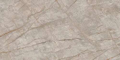 Empire Silver Root 80x160 Ret