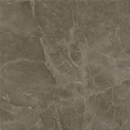 S.S. Grey 60x60 Lastra 20mm