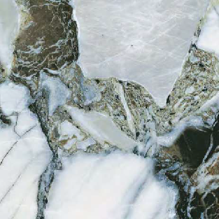CityMarble Амазония Мультиколор 7ЛПР R9 60x60
