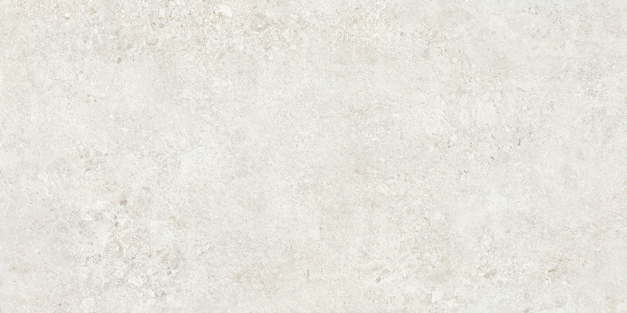 NTT9501L Terrazzo 60x120
