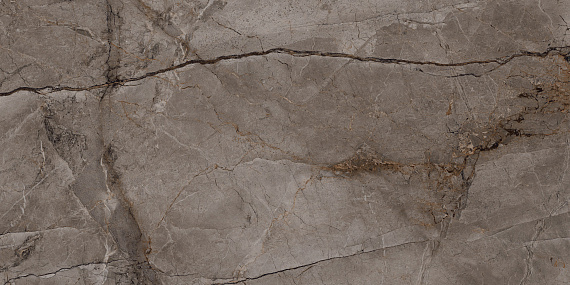 BIEN0016 Root Ash Rec Full Lap 60x120