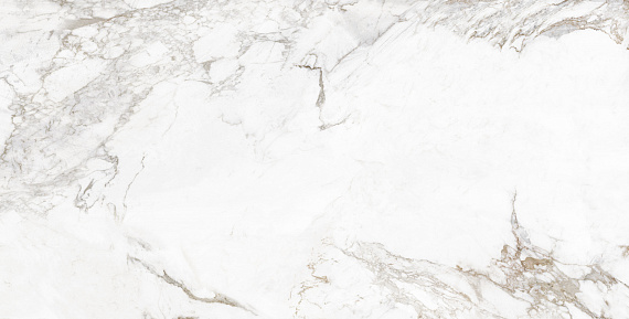 QUA0055 Creme Blanc Full Lap 60x120
